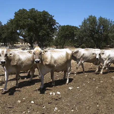 Фермерский дом Masseria Cappella Мартина-Франка