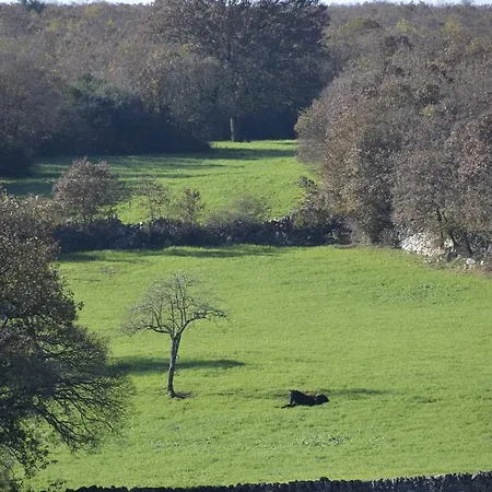 Masseria Cappella Мартина-Франка
