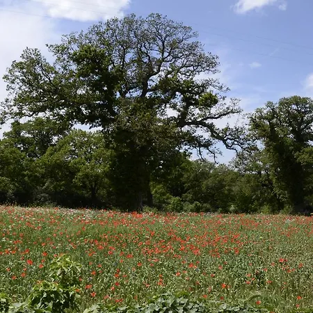 Masseria Cappella Фермерский дом