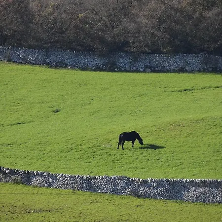 Masseria Cappella Фермерский дом