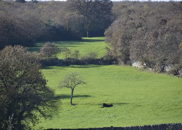 Masseria Cappella מרטינה פרנקה