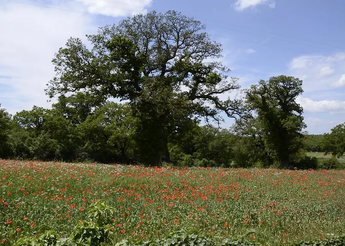Masseria Cappella Gospodarstwo agroturystyczne