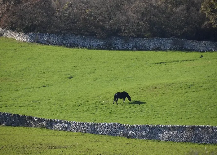 Masseria Cappella Gospodarstwo agroturystyczne